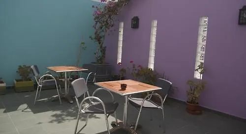 Hostal Las Gaviotas Del Cabo San Jose  Guest house