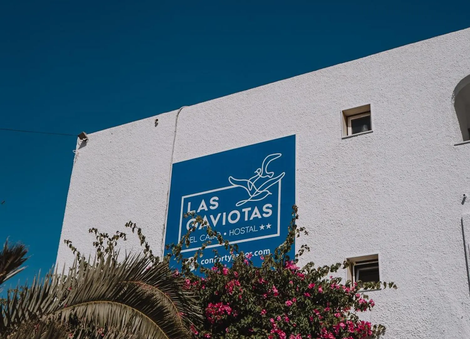 Maison d'hôtes Hostal Las Gaviotas Del Cabo San José